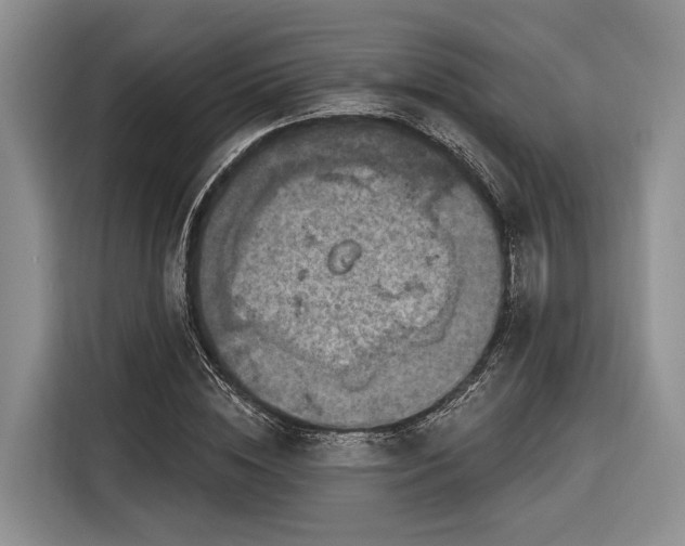 X0000116280828200912071148