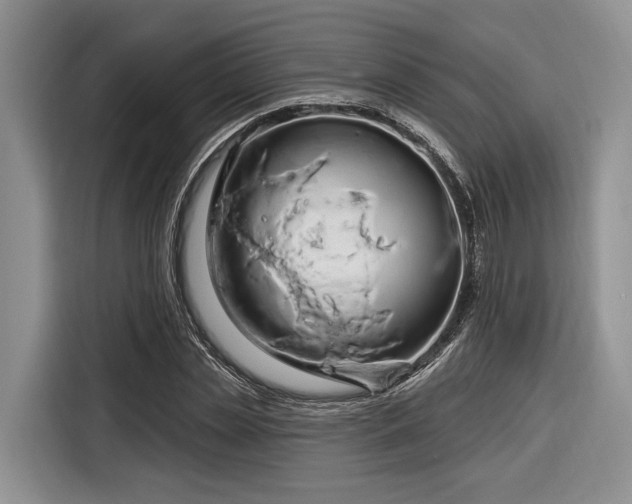 X0000116280829200912071148
