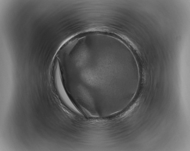 X0000116280830200912071148