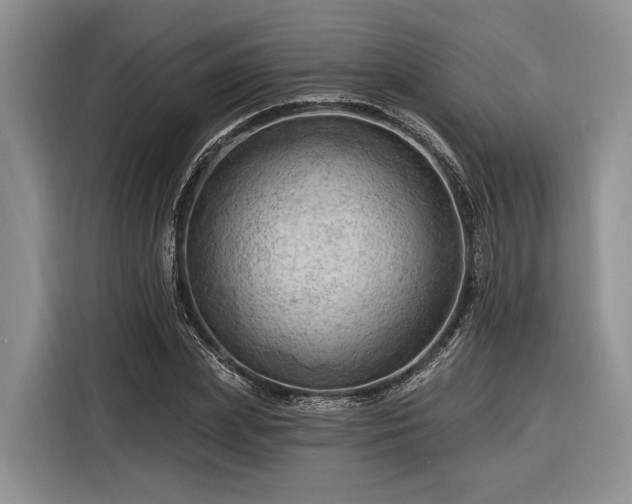 X0000116280831200912071148