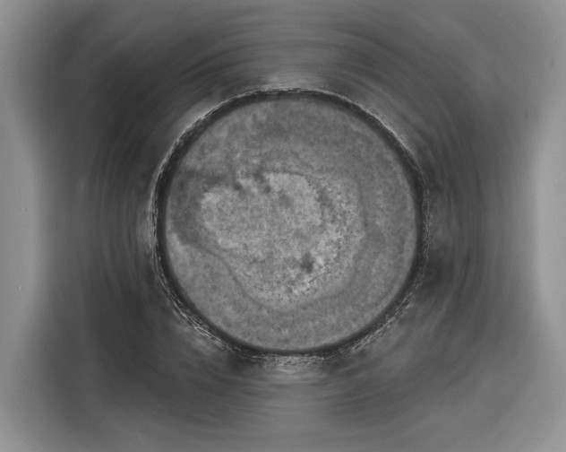 X0000116280832200912071148