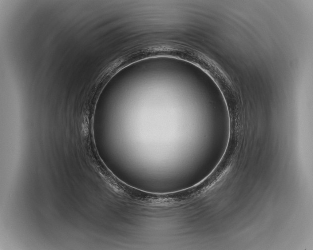 X0000116280833200912071148