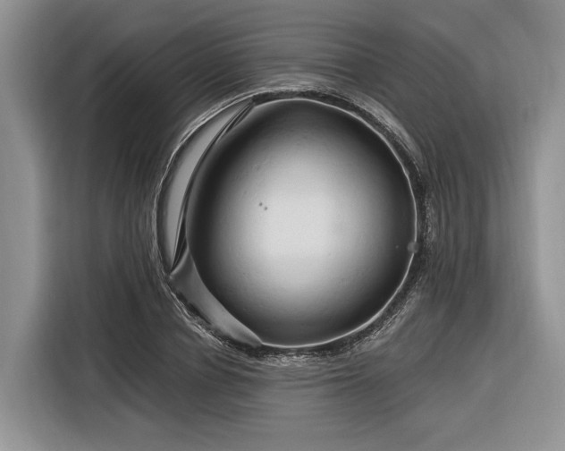 X0000116280834200912071148