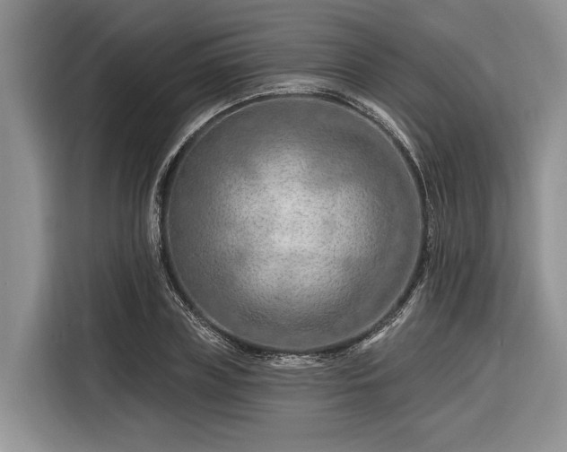 X0000116280835200912071148