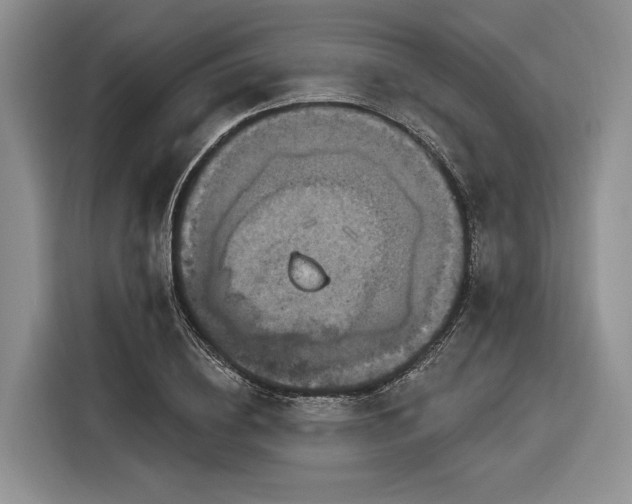 X0000116280836200912071148