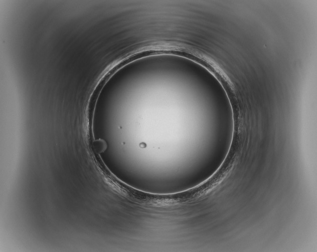X0000116280837200912071148