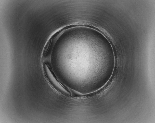 X0000116280838200912071148