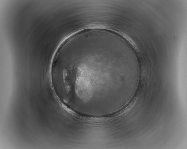 X0000116280840200912071148