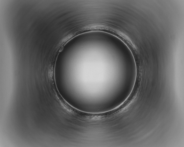 X0000116280841200912071148