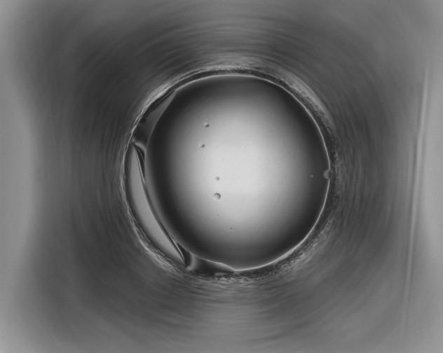 X0000116280842200912071148