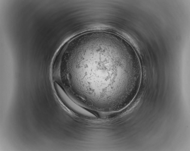 X0000116280843200912071148