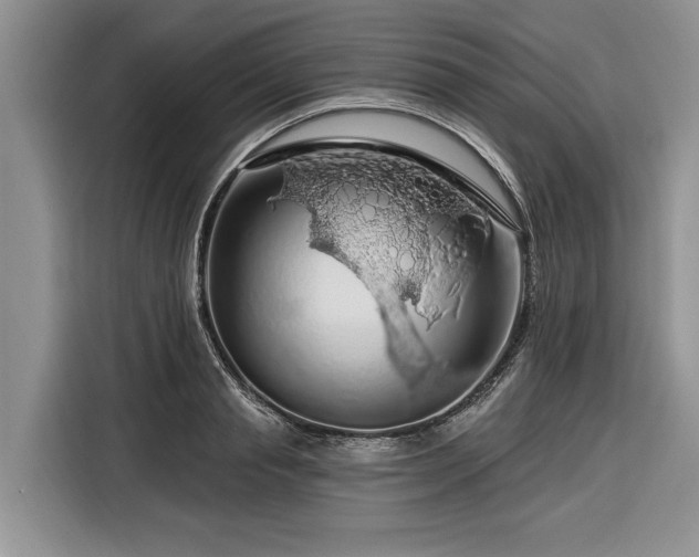 X0000116280845200912071148