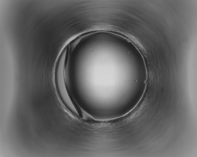 X0000116280846200912071148