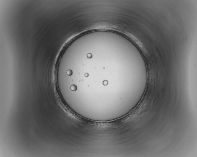 X0000116280848200912071149