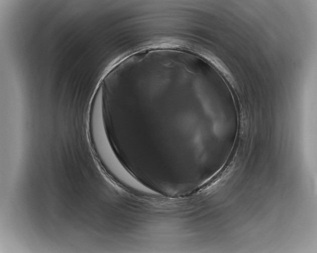 X0000116280850200912071149