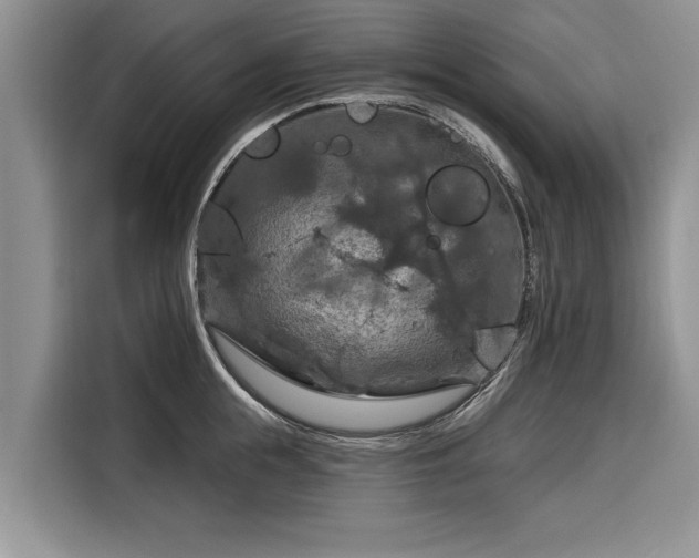 X0000116280855200912071149