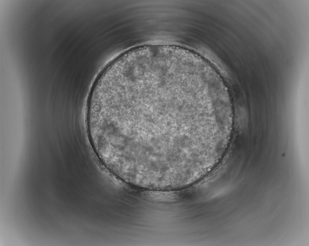 X0000116280856200912071149