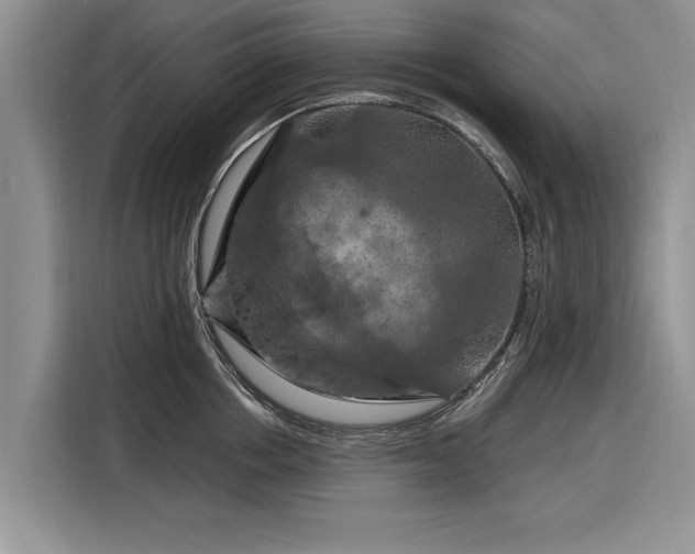 X0000116280858200912071149