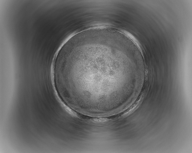 X0000116280859200912071149