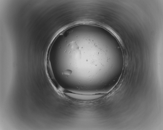 X0000116280861200912071149