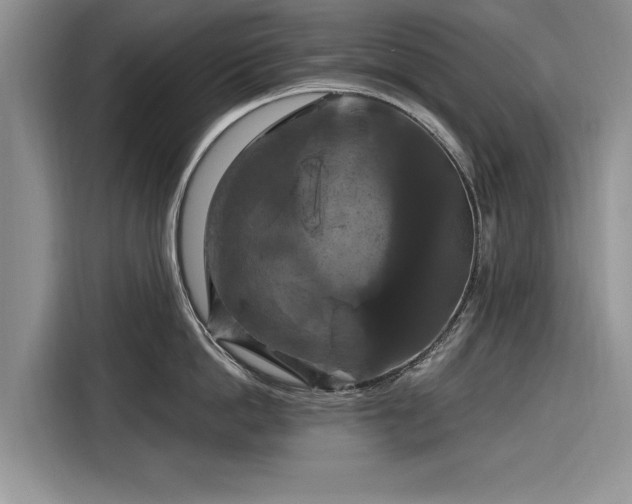 X0000116280862200912071149