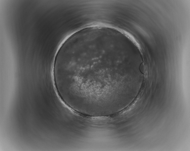 X0000116280863200912071149