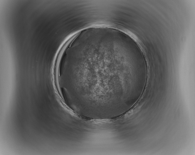 X0000116280864200912071149
