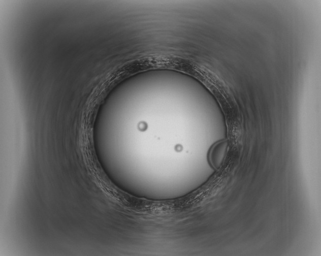 X0000116280865200912071148