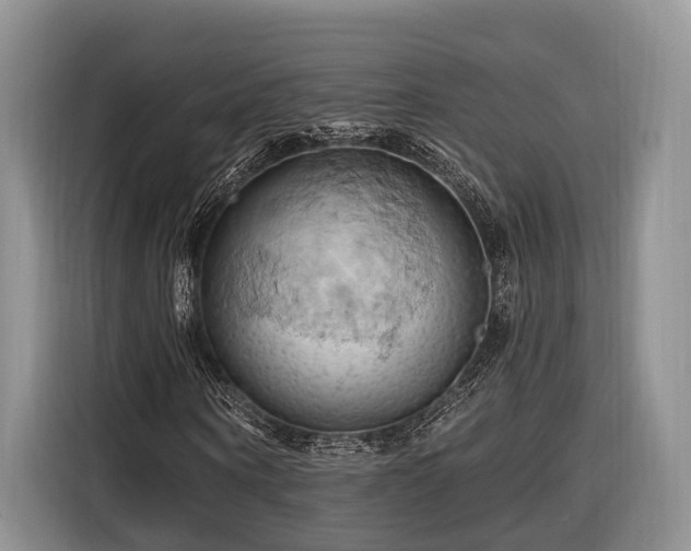 X0000116280866200912071148