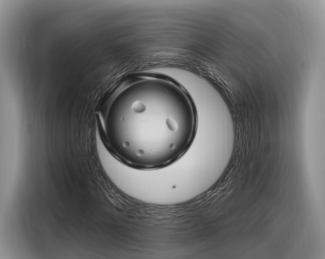 X0000116280868200912071148