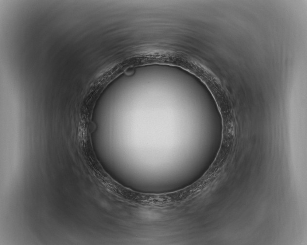 X0000116280869200912071148