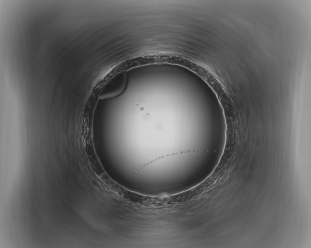 X0000116280871200912071148