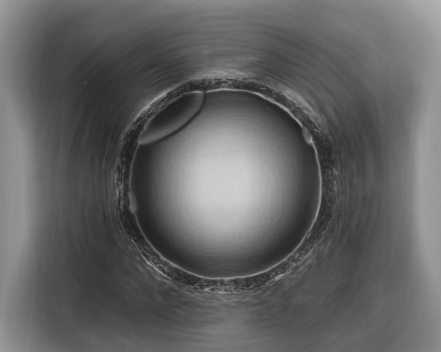 X0000116280872200912071148
