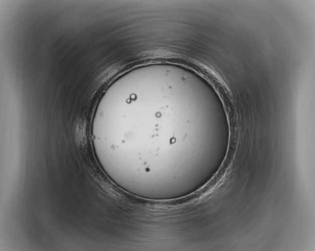 X0000116280873200912071148