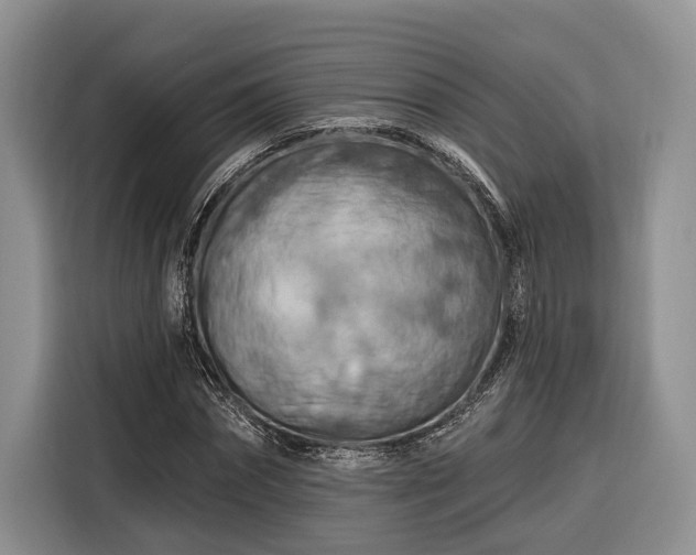 X0000116280874200912071148