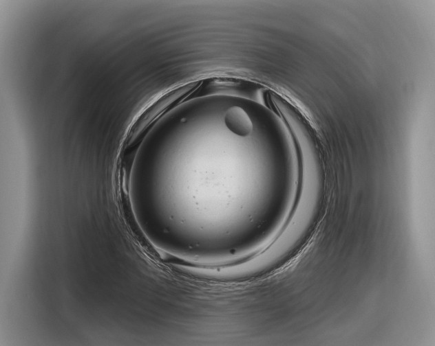 X0000116280877200912071148