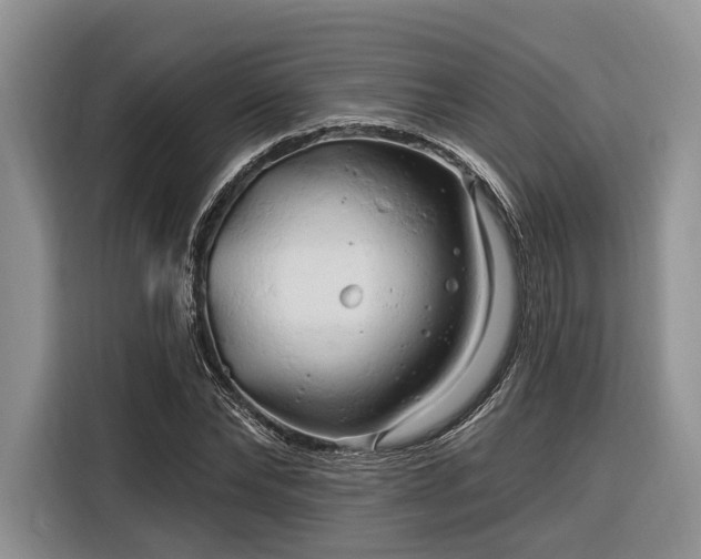 X0000116280878200912071148