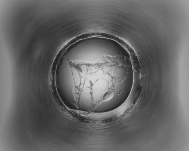 X0000116280879200912071148
