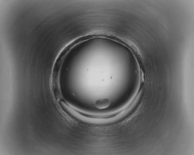 X0000116280880200912071148