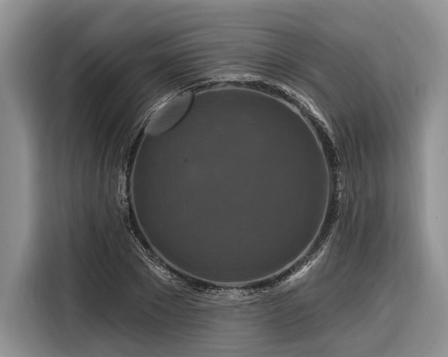 X0000116280881200912071148