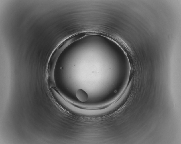 X0000116280884200912071148
