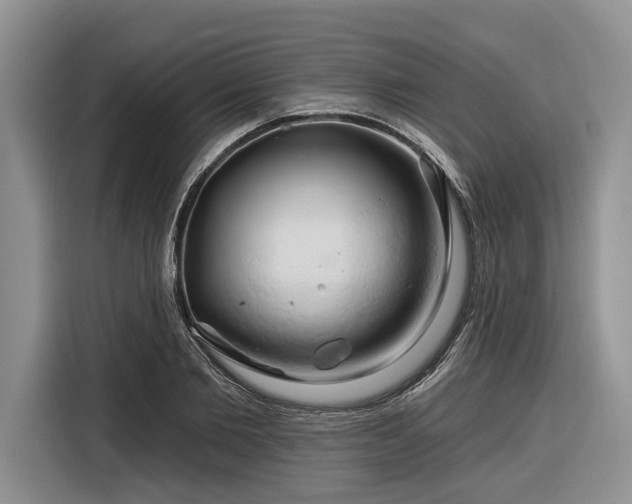 X0000116280885200912071148