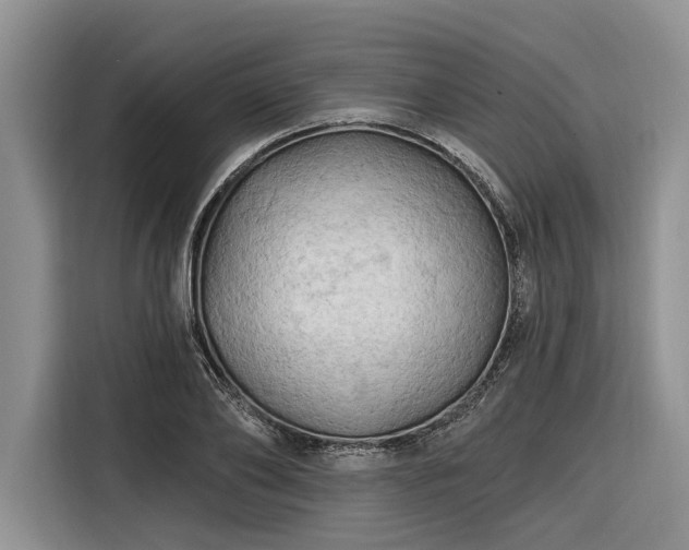 X0000116280886200912071148