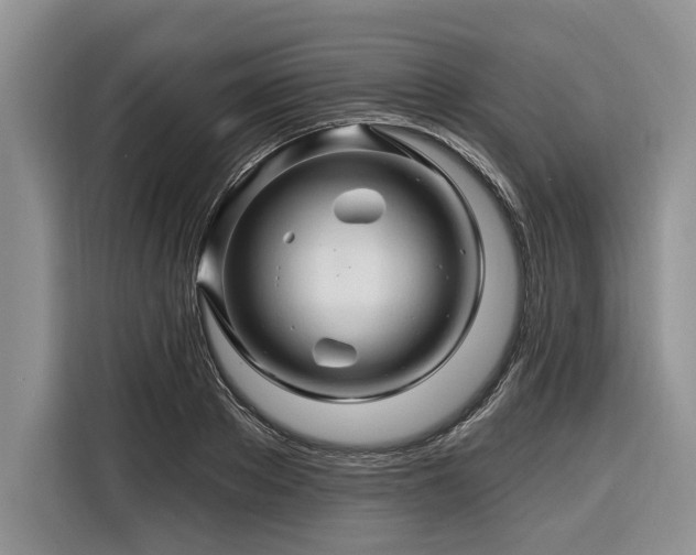 X0000116280889200912071148