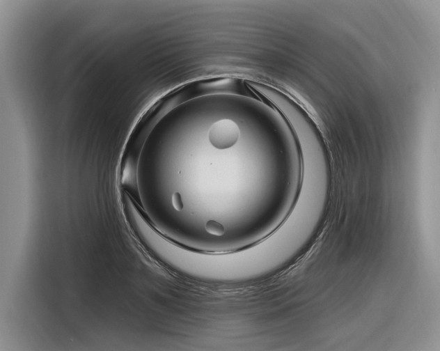 X0000116280891200912071148
