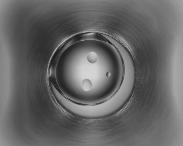 X0000116280892200912071148