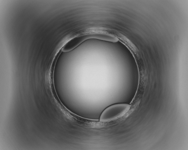 X0000116280893200912071148