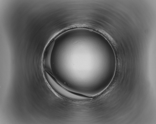 X0000116280894200912071148