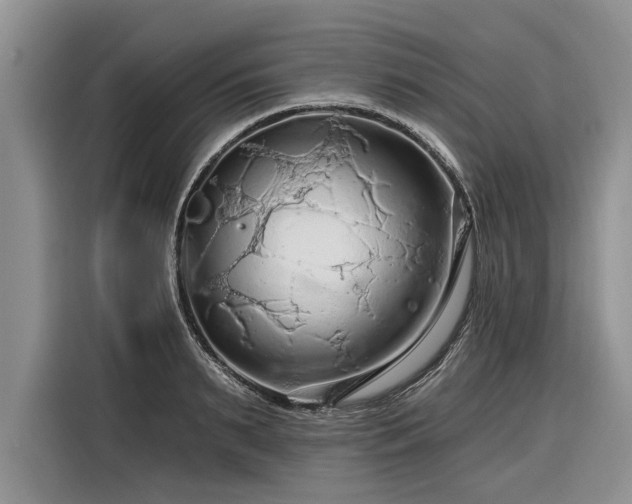 X0000116280895200912071148