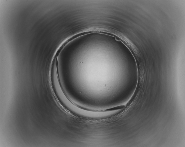 X0000116280896200912071148